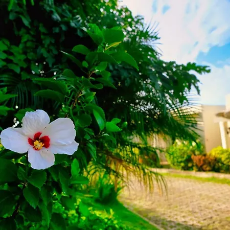 Hotel Soffia-3