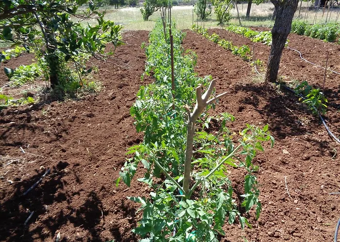 Agroturismo Na Set Centes - Adults Only Arta