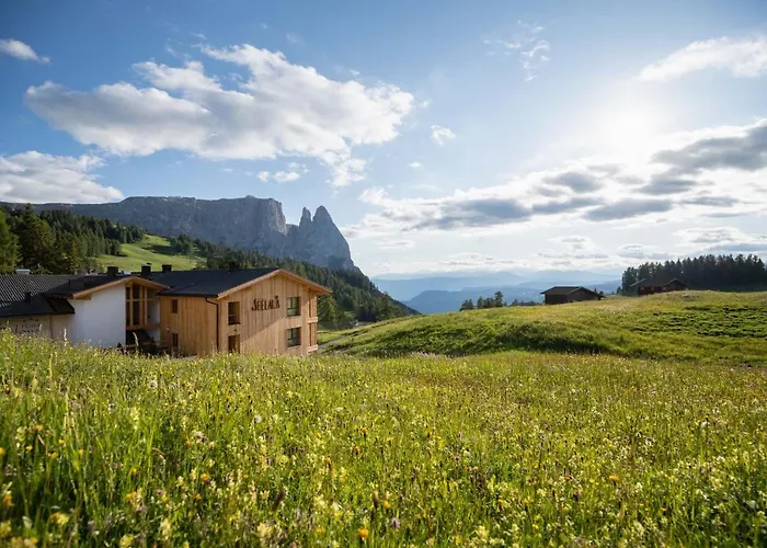 Hotel Seelaus Alpe Di Siusi