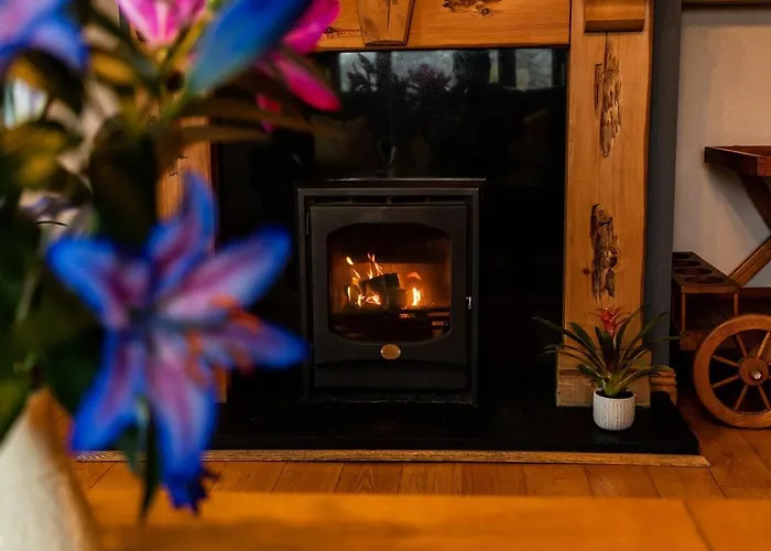 Twin Peaks B&B Doolin