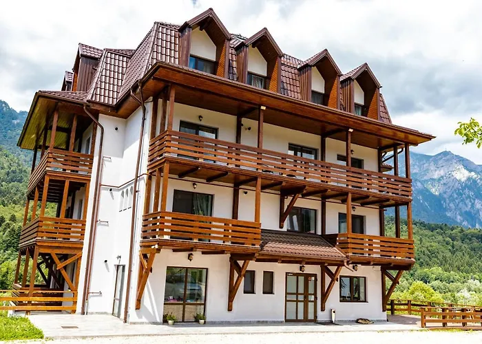 Yael Luxury Apartments 3 Busteni