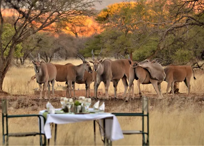Ohange Namibia Lodge Otavi