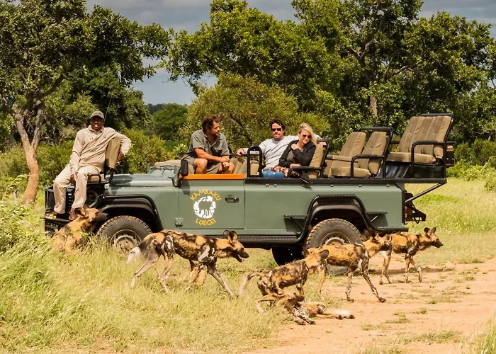 Kambaku Safari Lodge Timbavati Game Reserve