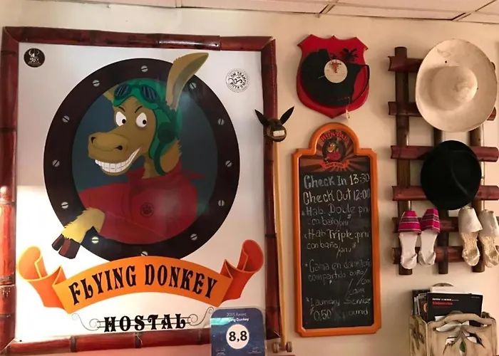 Flying Donkey Bed & Breakfast Otavalo