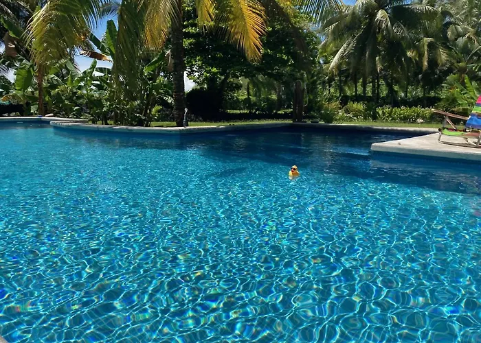 Sand Dollar Beach Bed & Breakfast Bocas Town