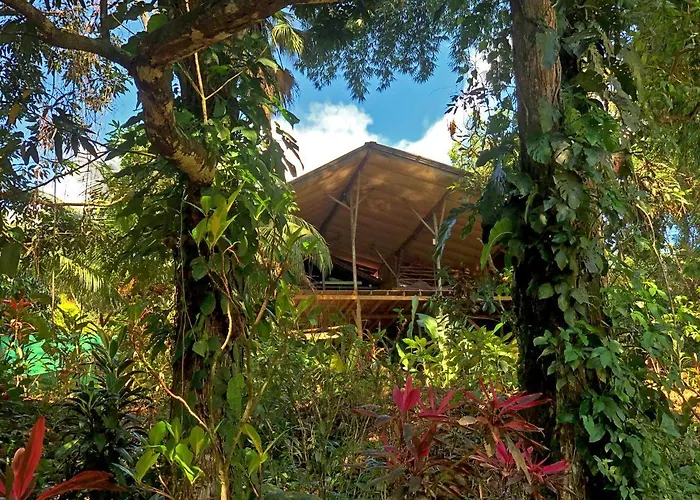 Cascada Verde Eco Lodge & Hostel Uvita