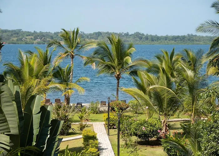Dolphin Blue Paradise Bocas Town