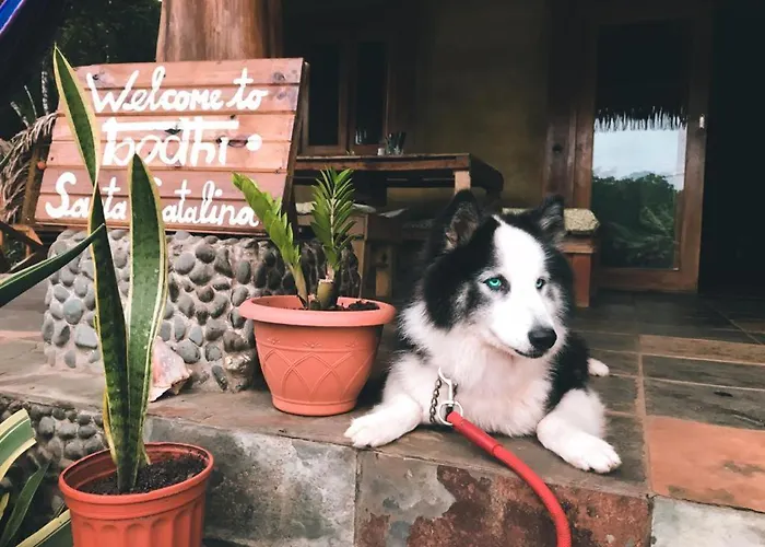 Bodhi Santa Catalina Hostel
