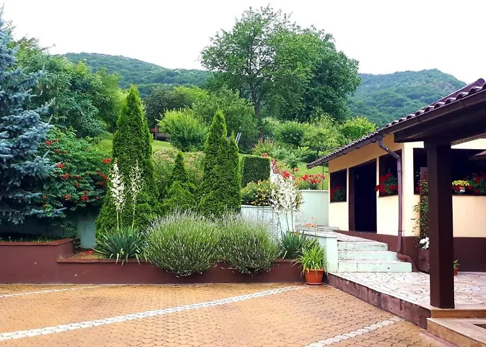 Silva House Hotel Deva