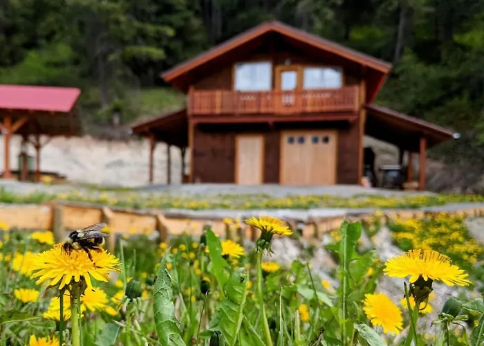 Tschurtschenthaler Lodge Golden