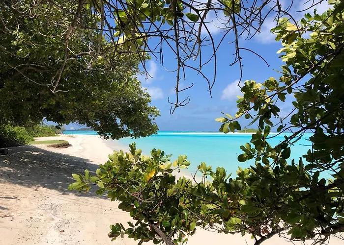 Royal Reef Stay Mathiveri