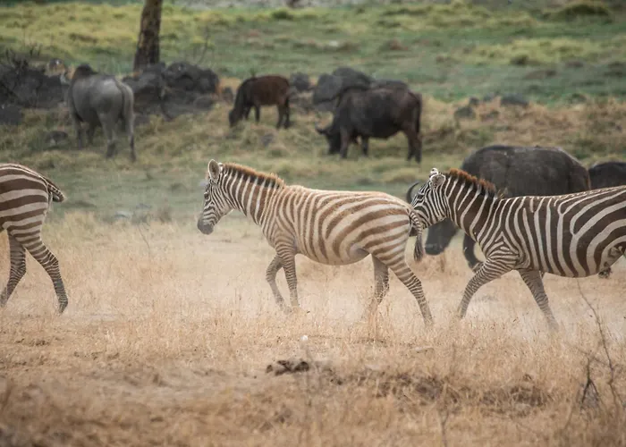 Sarova Lion Hill Game Lodge Nakuru