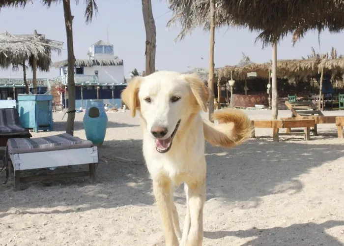 Deep South Eco-Lodge Marsa Alam