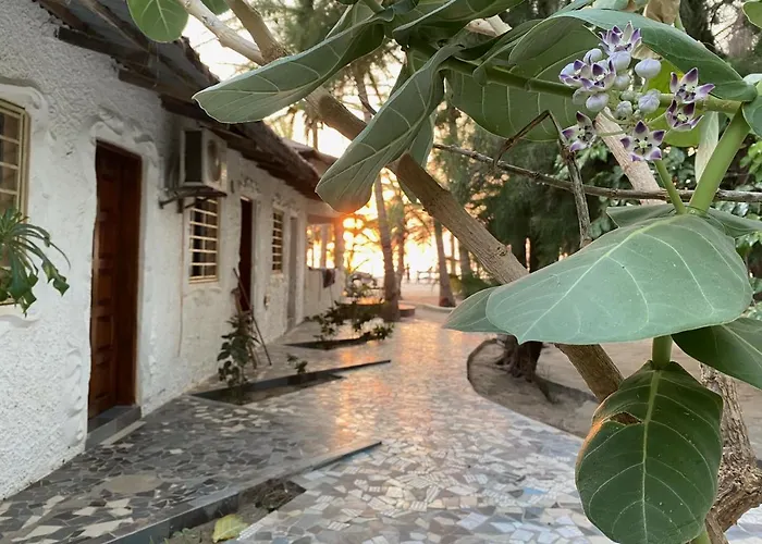 Jungle Beach Resort Sanyang