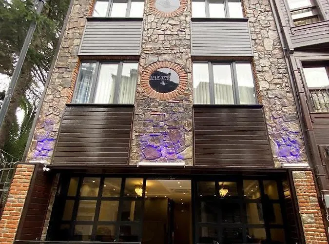 Hotel Blue Ottoman Istanbul