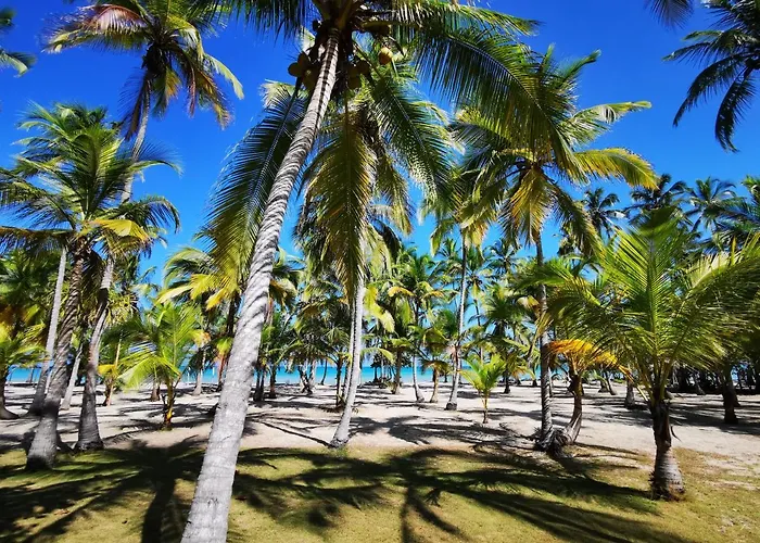 Hotel Playa Mandala Palomino