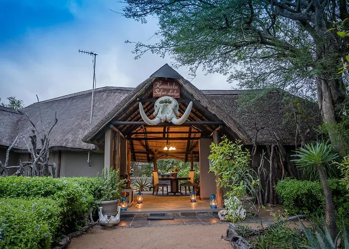 Kambaku Safari Lodge Timbavati Game Reserve