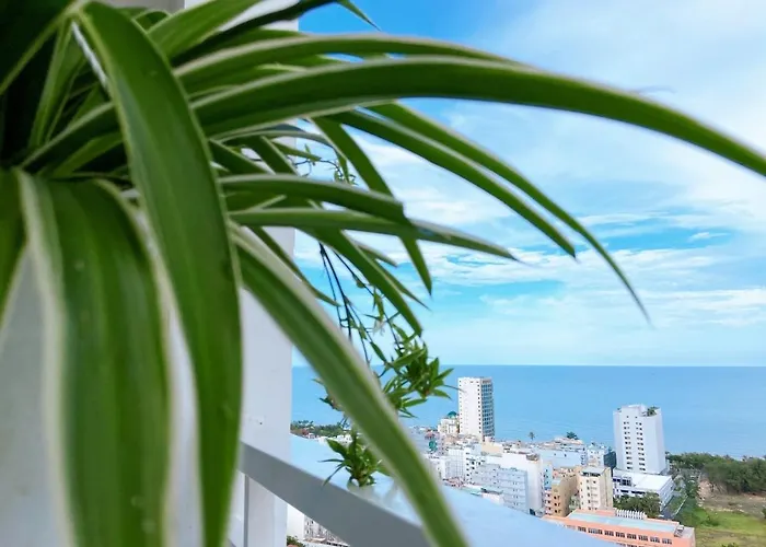 Homestay Vung Tau Can Ho Bien Goldsea Melody