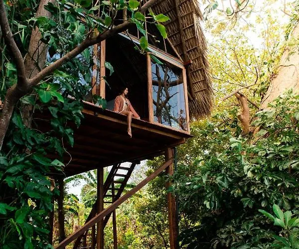 El Pital, Chocolate Paradise Balgue