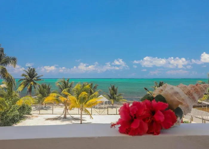 Treetops Hotel Caye Caulker