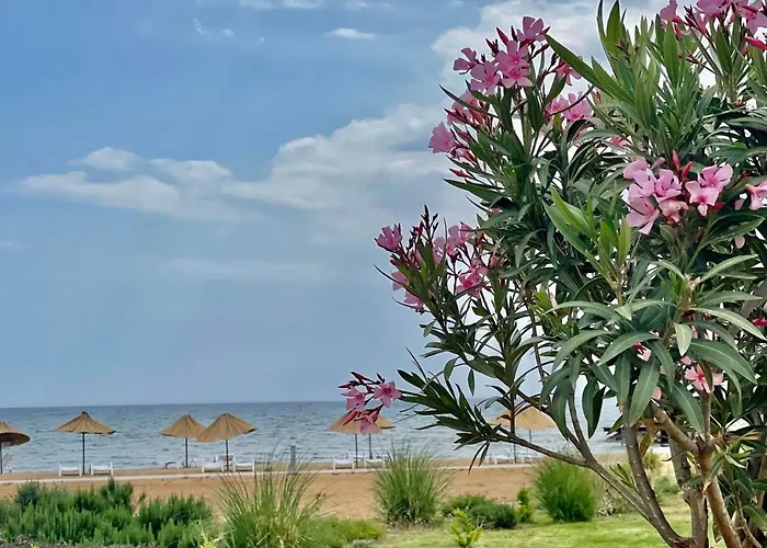 Suite Famagusta 