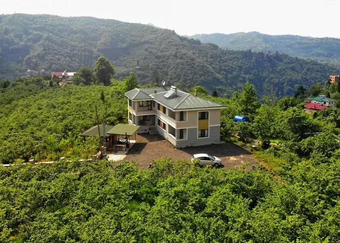 Luxury Nature Life Villa Trabzon