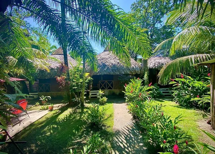 Casa De La Iguana Hostel Livingston