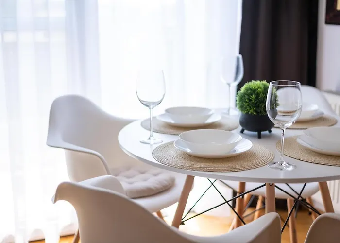 Business And Travel Lounge With Private Parking Apartment Timisoara