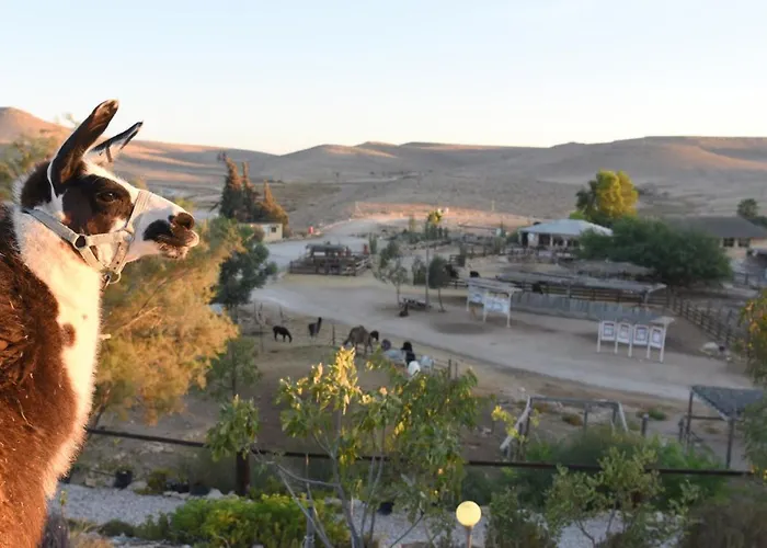 Alpaca Farm - חוות האלפקות Villa Mitzpe Ramon