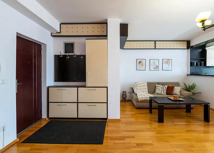 Business And Travel Lounge With Private Parking Apartment Timisoara