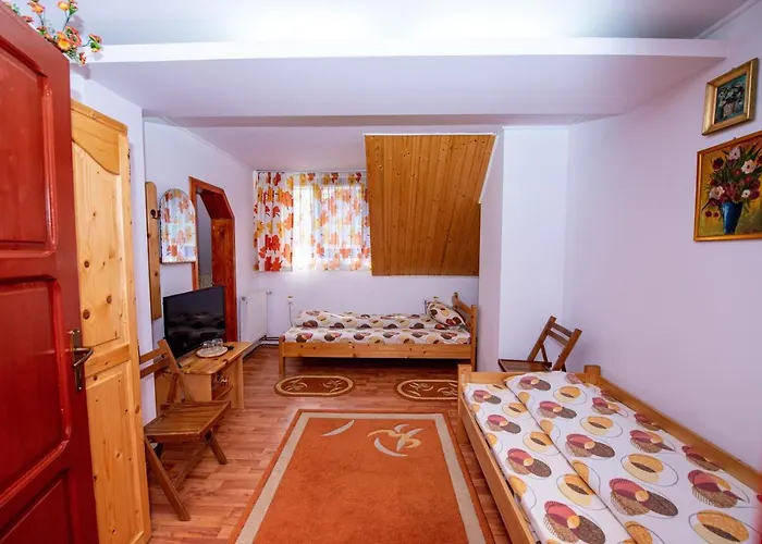 Pensiunea Flori De Camp Vatra Dornei