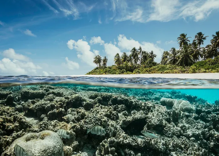 Robinson Maldives - Adults Only Hotel Meradhoo