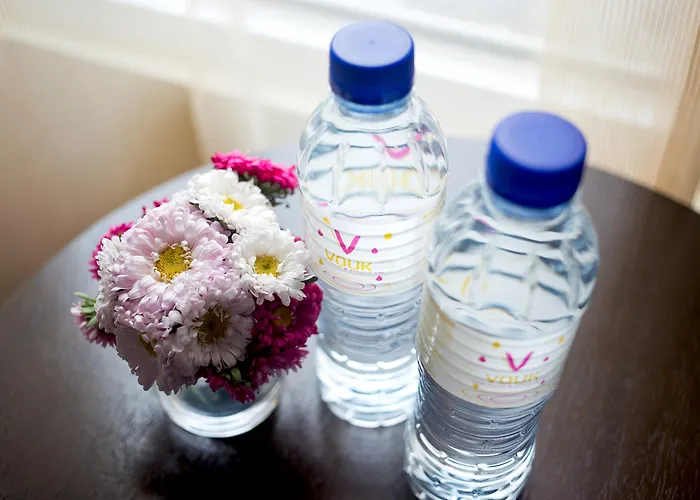 Vouk Hotel Suites, Penang George Town