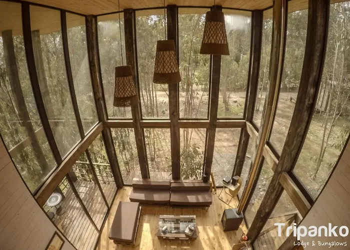 Tripanko Lodge & Bungalows Pichilemu