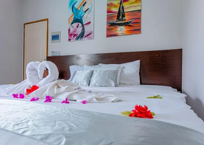 Violet Inn Hotel Dharavandhoo