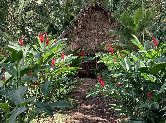 Sun Creek Lodge Punta Gorda