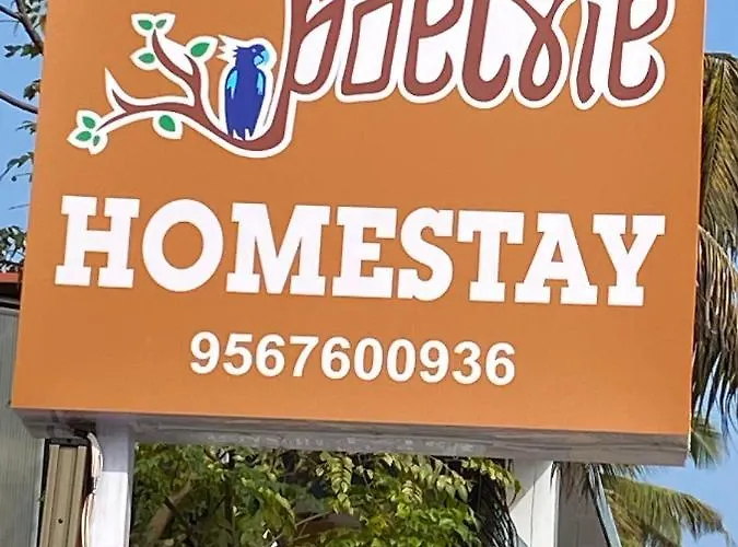 Poetrie Homestay Kochi