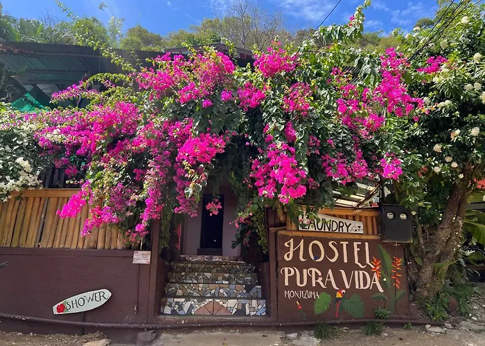 Pura Vida Hostel Montezuma