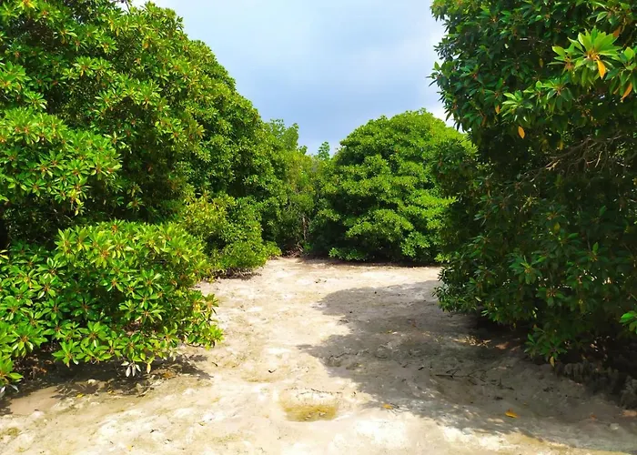 Courtyard Maldives Hotel Huraa