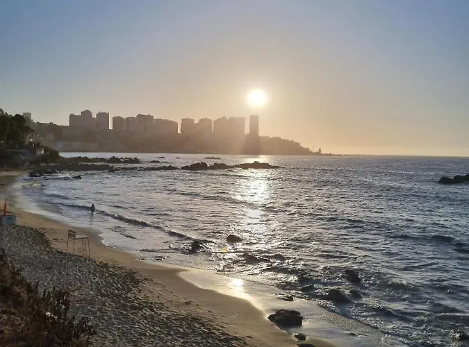 Hermoso Y Acogedor Departamento A Pasos Del Mar - Ideal Parejas, Teletrabajo Concon