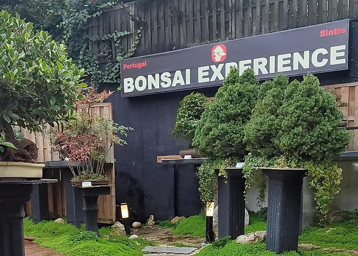 Zen Guest House - Museu Do Bonsai Sintra