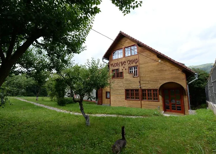 Pensiunea Flori De Camp Vatra Dornei