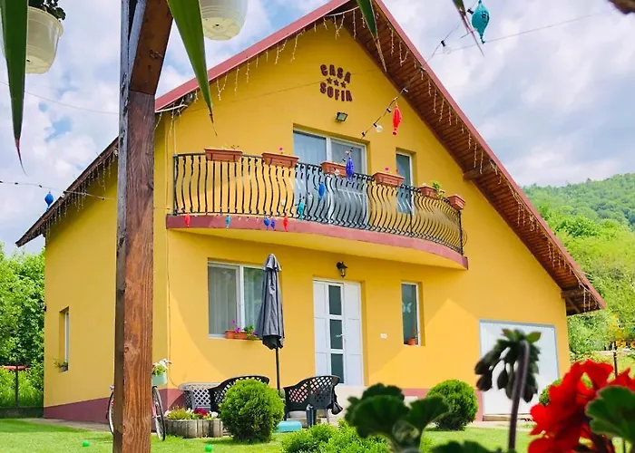 Casa Sofia Villa Calimanesti