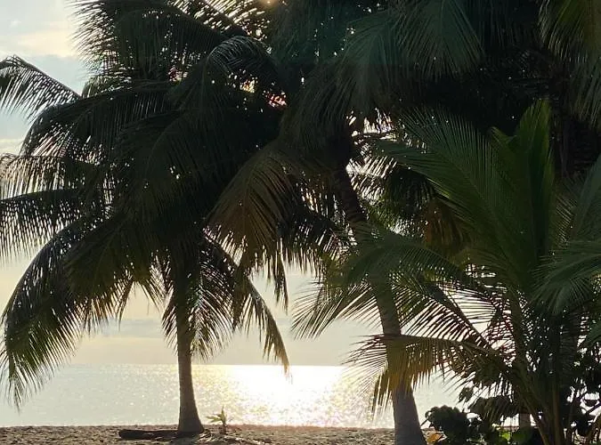Anda Di Hows Hostel Placencia