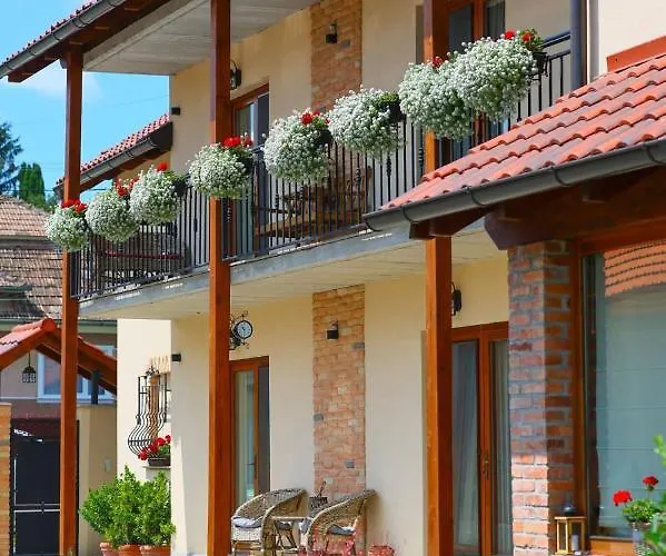 Ama Guest House Turda