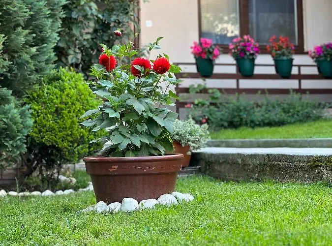 City Centar Apartman Sarajevo