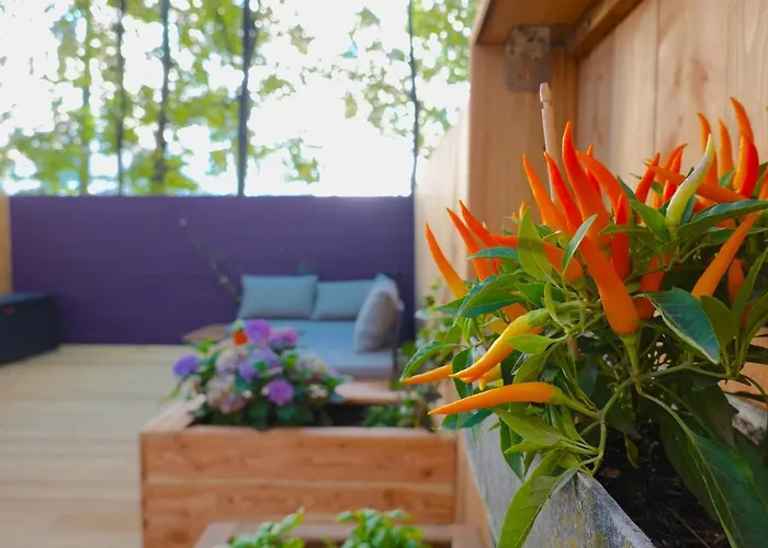 Private Terrace, 8 Min To Center Apartment Vienna