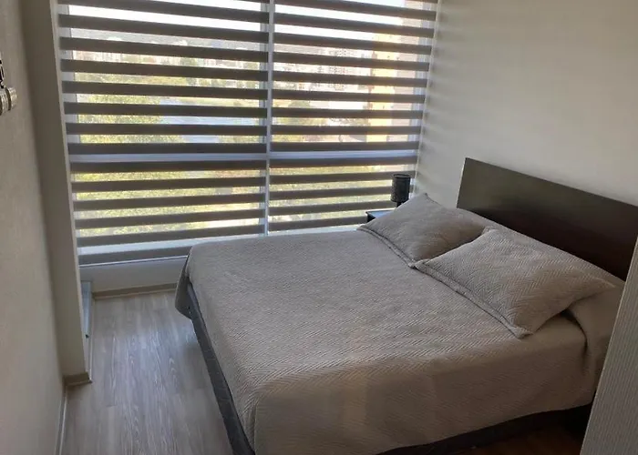 Departamento Full Concepcion Apartment