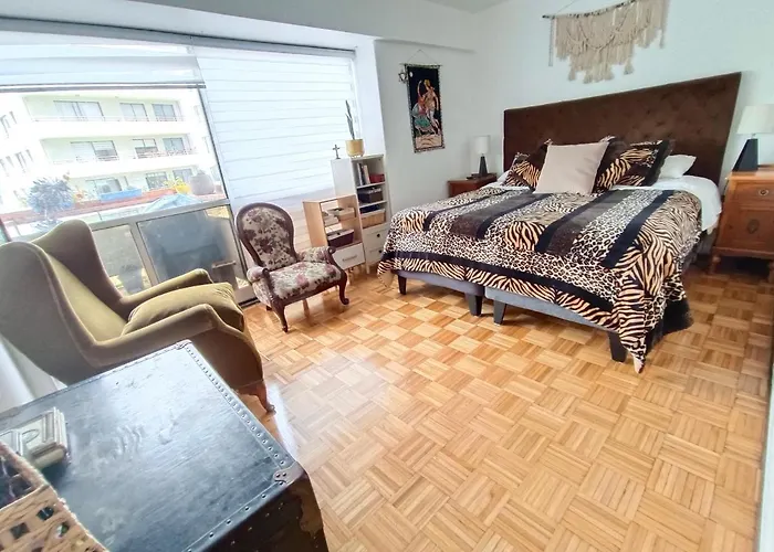 Sector San Martin Apartment Vina del Mar