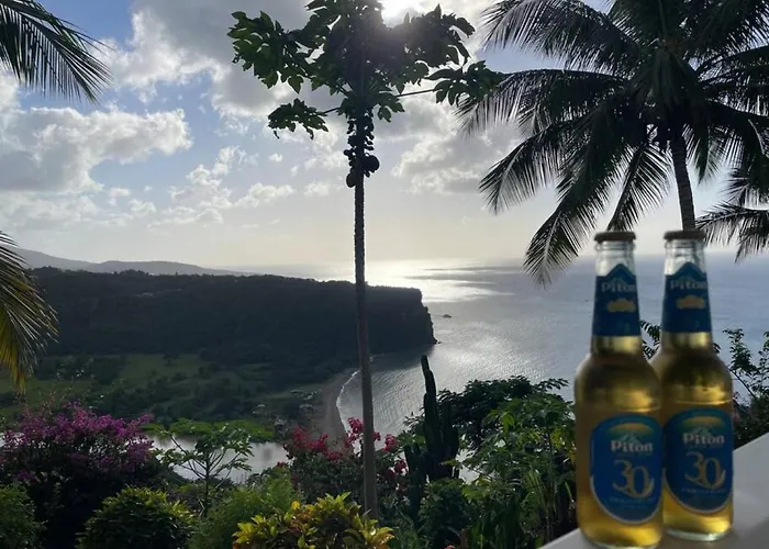 Modern 1 Bed Guesthouse With Pool And Ocean View Marigot Bay